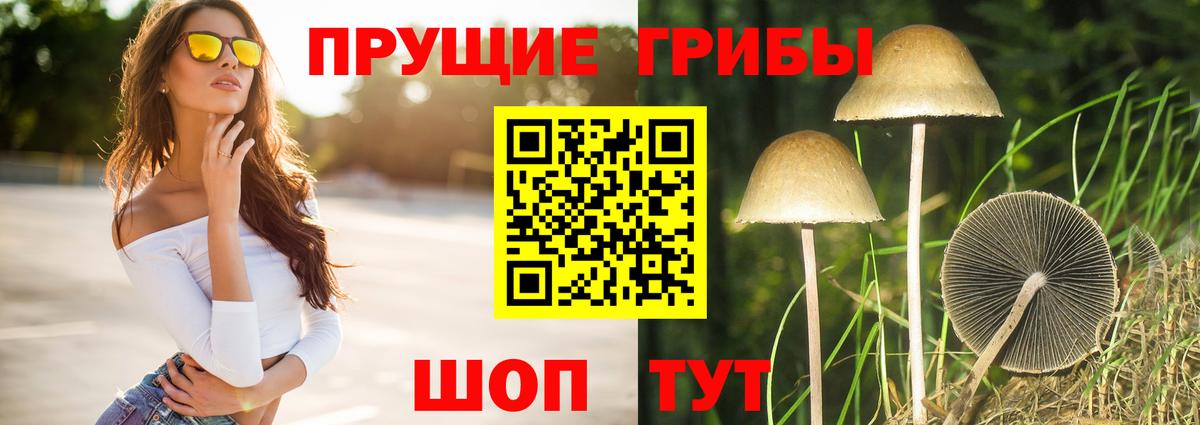 Псилоцибиновые грибы мицелий Уссурийск